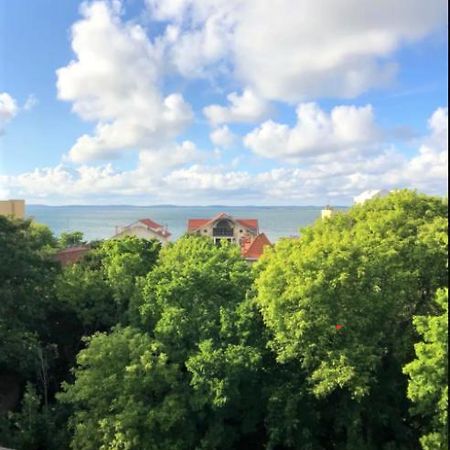 Appartement Vue Sur Baie Et Ocean, 100 M De La Plage Et Du Centre Par Chemin Prive อาร์กาชง ภายนอก รูปภาพ