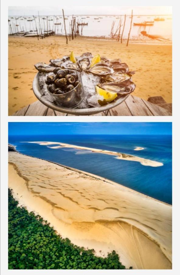 Appartement Vue Sur Baie Et Ocean, 100 M De La Plage Et Du Centre Par Chemin Prive อาร์กาชง ภายนอก รูปภาพ